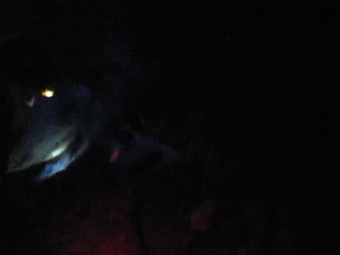 MVI_3573.AVI